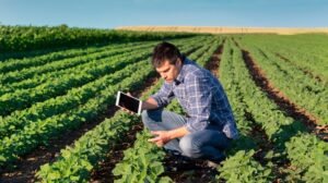profesional-tecnico-en-produccion-agropecuaria